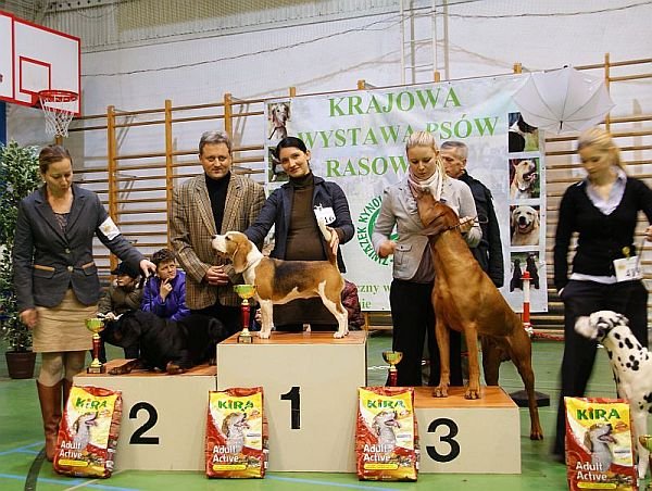 mielno 2012 cwc bob bog1